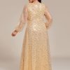 Women's Elegant A-Line V Neck Sheer Long Sleeves Plus Size Sequin Formal Dress Evening Gown