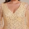 Women's Elegant A-Line V Neck Sheer Long Sleeves Plus Size Sequin Formal Dress Evening Gown